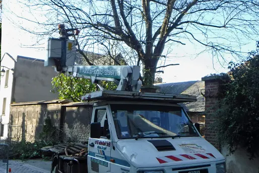 Elagage - Entreprise Eric VALLETTE