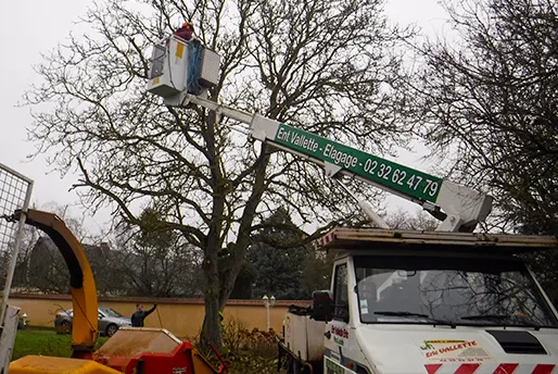 Elagage - Entreprise Eric VALLETTE