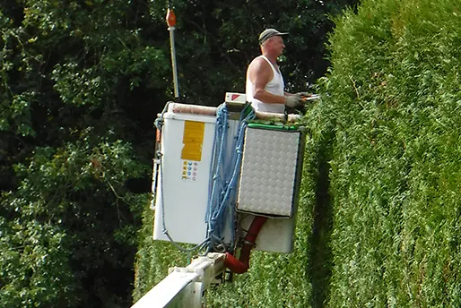 Taillage Haies - Entreprise Eric VALLETTE